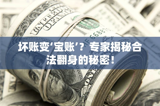 武汉坏账变‘宝账’？专家揭秘合法翻身的秘密！