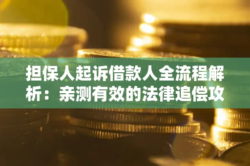 武汉担保人起诉借款人全流程解析：亲测有效的法律追偿攻略