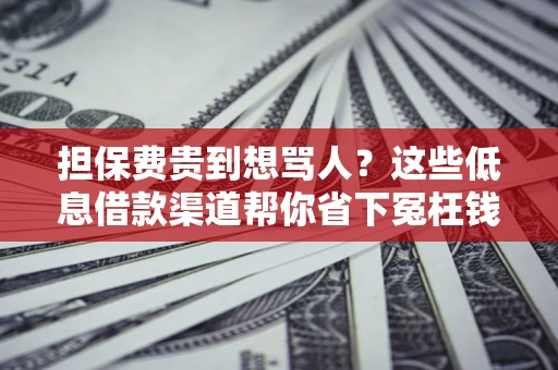 武汉担保费贵到想骂人？这些低息借款渠道帮你省下冤枉钱