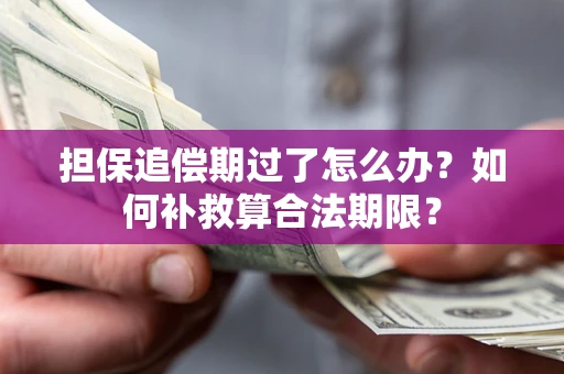 武汉担保追偿期过了怎么办？如何补救算合法期限？
