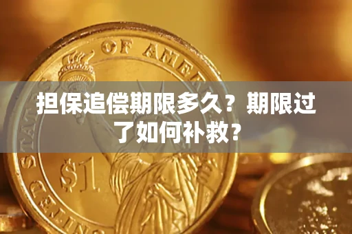 武汉担保追偿期限多久？期限过了如何补救？