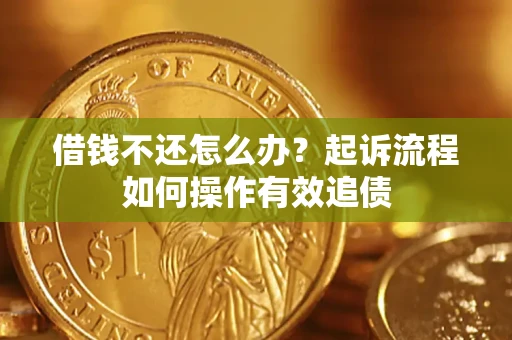 武汉借钱不还怎么办？起诉流程如何操作有效追债