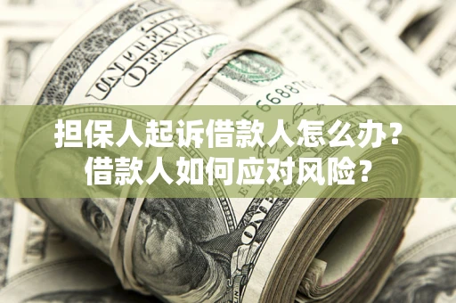 武汉担保人起诉借款人怎么办？借款人如何应对风险？