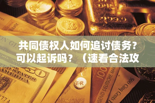 武汉共同债权人如何追讨债务？可以起诉吗？（速看合法攻略）
