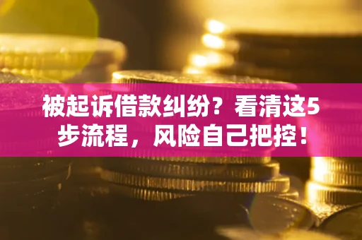 武汉被起诉借款纠纷？看清这5步流程，风险自己把控！