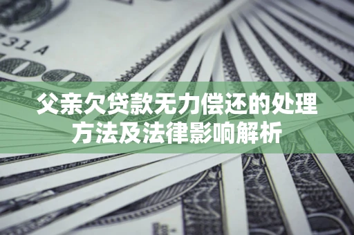 武汉父亲欠贷款无力偿还的处理方法及法律影响解析