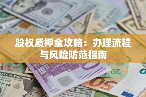 武汉股权质押全攻略：办理流程与风险防范指南